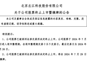 “最贵ST股”退市！曾号称“对标英伟达”，股价一度高达299元，如今只剩1元