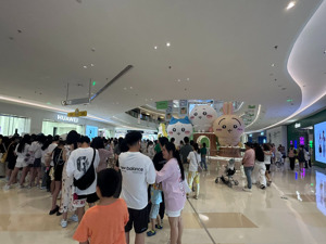通宵排队、价格比肩迪士尼、百元一个还限购⋯⋯年轻人的“电子布洛芬”能治商场“痛症”吗？