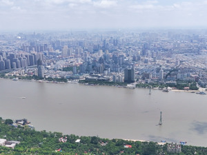 “支棱”起来的东北，正在走向分化?