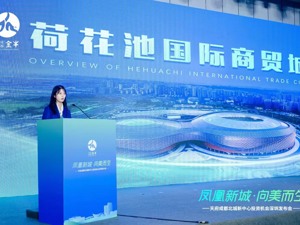 赴深结新友 天府成都北城新中心投资机会深圳发布会举行