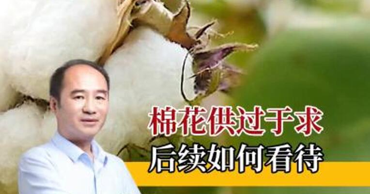 棉花供过于求？短期趋势怎么看？