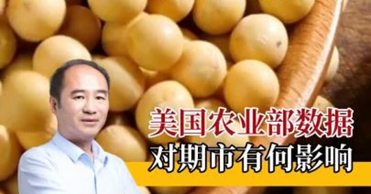 美豆农业部数据，对豆粕价格有何影响？