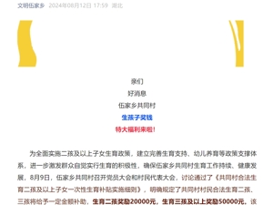 湖北一村明确：生三孩奖5万，生二孩奖2万！