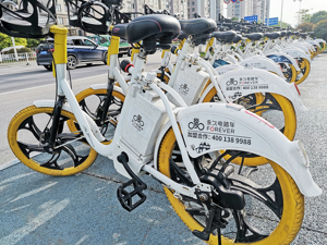 明年起全面实现！事关电动自行车