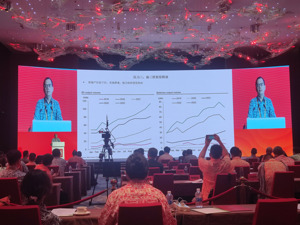 房产·博鳌观点｜野村证券首席中国经济学家陆挺：房地产稳定仍是经济稳定的前提，保交房是重建市场信心的关键