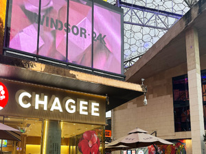 价格集体跳水！茶饮重回“10元以下”