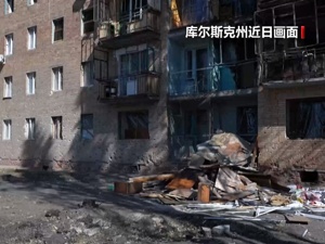 俄军苏-34“摧毁乌军部署点”！朔尔茨：乌攻击库尔斯克前并未与德协商！意大利副总理发声