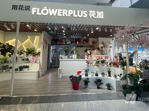 “花加”破产清算但仍在运营？ 曾是迪丽热巴主演的一部电视剧企业原型