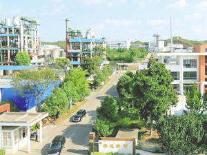 两度冲刺上市失败 泰达新材拟再闯北交所