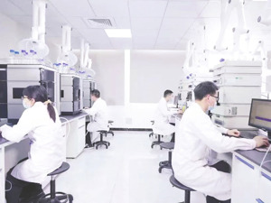 能特科技上半年营收62.31亿元 同比增逾16%