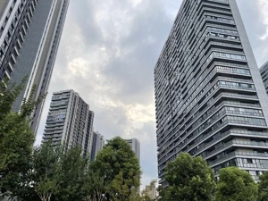 2000万元起价的新盘不到1小时售罄，降价的二手房成交大增，杭州楼市有点热闹