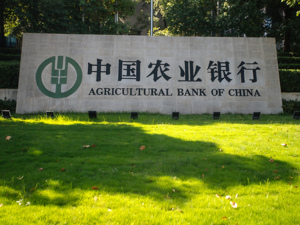 农业银行行长王志恒透露下半年工作安排 以更大力度做好“三农”和乡村振兴的金融服务