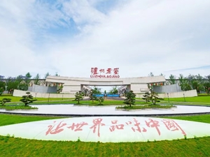 上半年营利双增，泸州老窖周期下的“韧性密码”