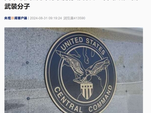 美军称击毙“伊斯兰国”头目！