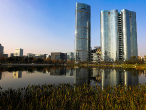成都：推动网络综合治理和城市治理融合联动，促进超大城市治理体系和治理能力现代化