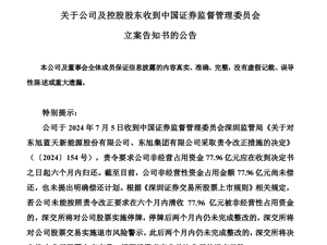 突发！5家A股公司公告：被证监会立案