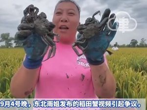 千万粉丝网红被曝稻田蟹视频造假，本人回应！视频已下架
