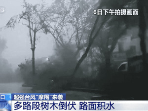 超强台风来袭 “水陆空”交通、公共服务等领域上市公司齐战“摩羯”