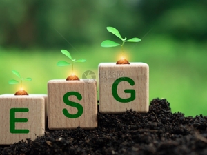 ESG重点议题新观察