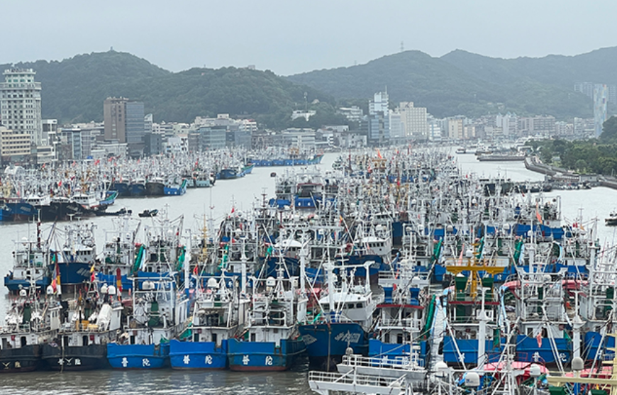 每日经济新闻