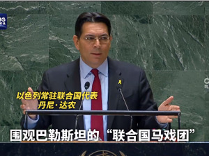 以色列代表：“联大是马戏团”！利比亚代表回怼：那你就是小丑