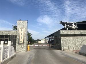 国务院：要加大对牛羊养殖等支持力度，抓紧实施一批纾困政策，帮助养殖户渡过难关  
