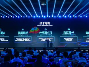 谁是超大屏市场的 “鲇鱼”？青岛举行的这场大会上给出了一个方向