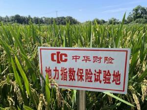 逐“绿”而行，中华财险奋力谱写 “绿色金融”大文章
