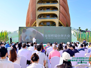 2024全球熊猫伙伴大会暨熊猫家园·大熊猫文化创意大赛启幕