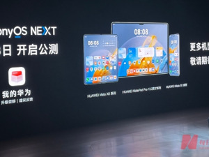 华为余承东：纯血鸿蒙10月8日开启公测 “ 它是一个新生命，正在努力成长”