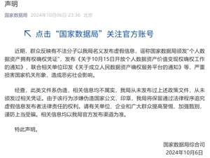 国家数据局发布声明：此类文件系伪造！