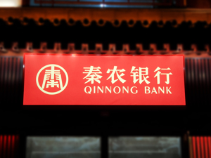 时隔两年半，秦农银行6.4亿股再现法拍市场，起拍价上涨至11.58亿元