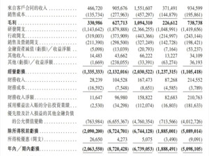 地平线通过港交所上市聆讯，上半年营收超9亿元，已获290款车型定点