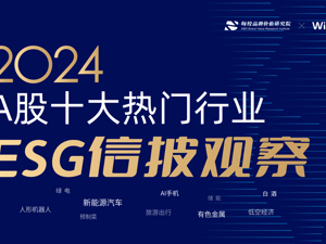 专题 | 2024A股十大热门行业ESG信披观察