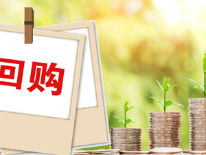 第二批回购增持贷款来了！刚刚，6家A股公司集体公告
