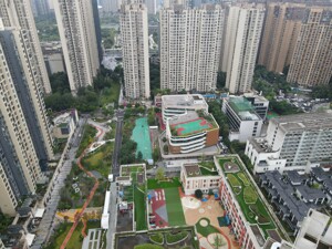 打造城市便民生活圈 成都高新区盛兴社区综合体正式投运
