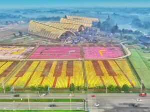 2024年成都世界园艺博览会闭幕 成都新津区交出文旅消费“优秀答卷”