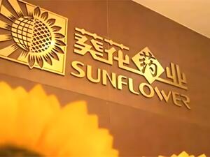 中成药OTC短期承压 葵花药业中长期发展预期不变