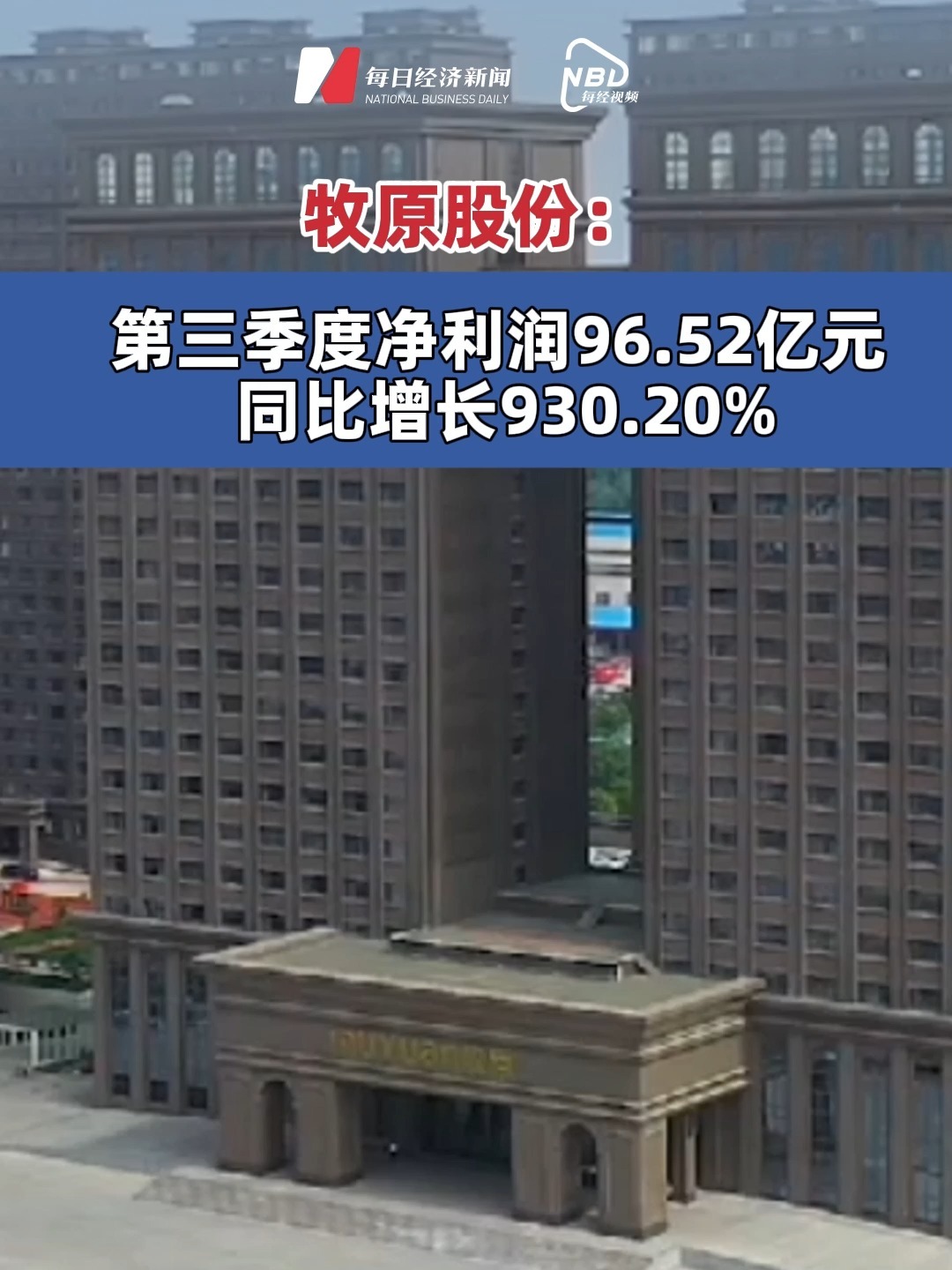 牧原股份第三季度凈利潤96.52億 #牧原股份第三季度凈利同比增超930%