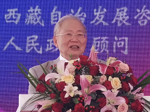 中国工程院院士、国际盐湖学会主席郑绵平：我国拥有全球70%电池产能，做好盐湖资源综合利用十分关键