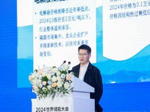 中国化学与物理电源行业协会储能应用分会秘书长刘勇：对低端产能和同质化产品要逐步淘汰或重组