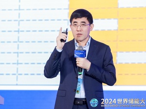 中关村储能产业技术联盟电力市场专委会秘书长郑华：构建储能市场生态需要盈利和样板支撑