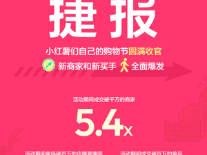 小红书电商双11，新商家买手涌现的背后