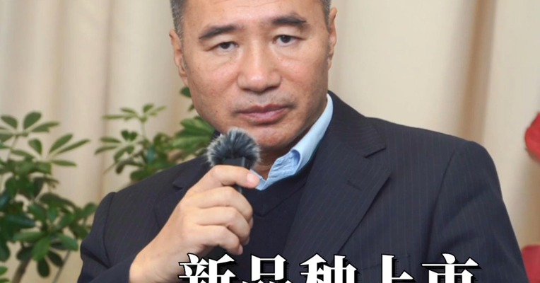 原木期货正式交易！首日行情怎么看？