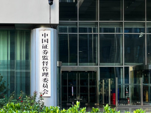证监会：打击财务造假，今年前10个月查办相关案件658件，罚没款金额110亿元！