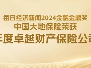 “价值大地”新蓝图成效初显，中国大地保险荣获金鼎奖“2024年度卓越财产保险公司”