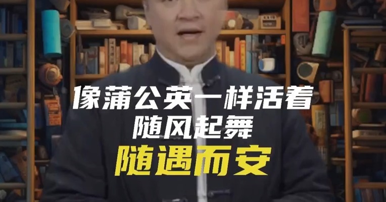 像蒲公英一样活着：随风起舞，随遇而安