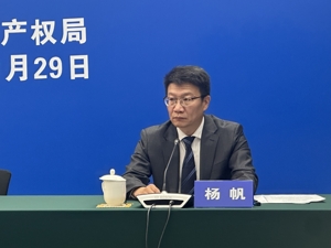 国家知识产权局举行2024年11月例行新闻发布会