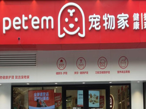 宠物护理品牌“宠物家”被曝大量关店 创始人回应：“那都是不实报道”