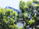 89595668.thumb_hs